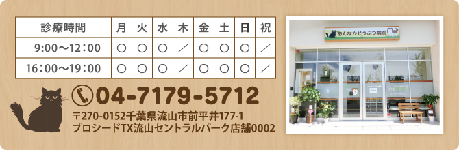 診療時間 診療時間