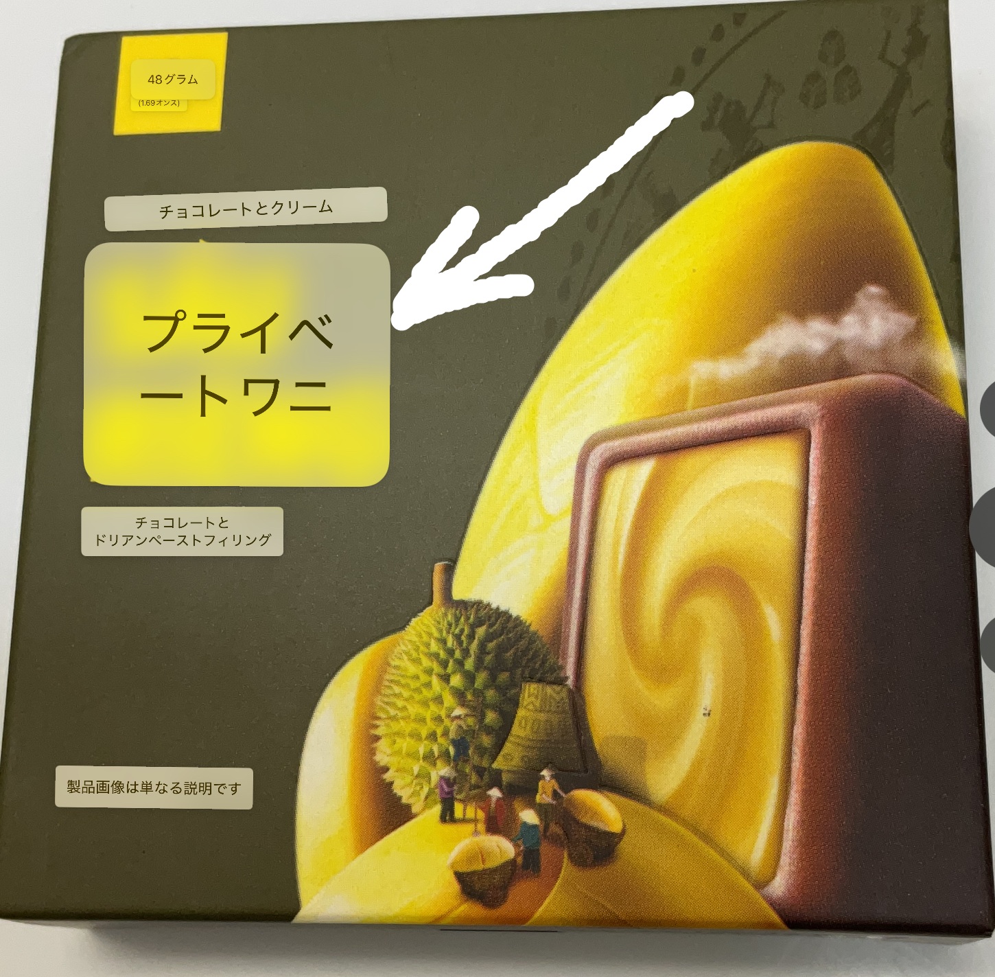 プライベートワニ